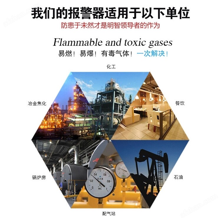 制药化工厂车间三氯乙烷报警器(图2)