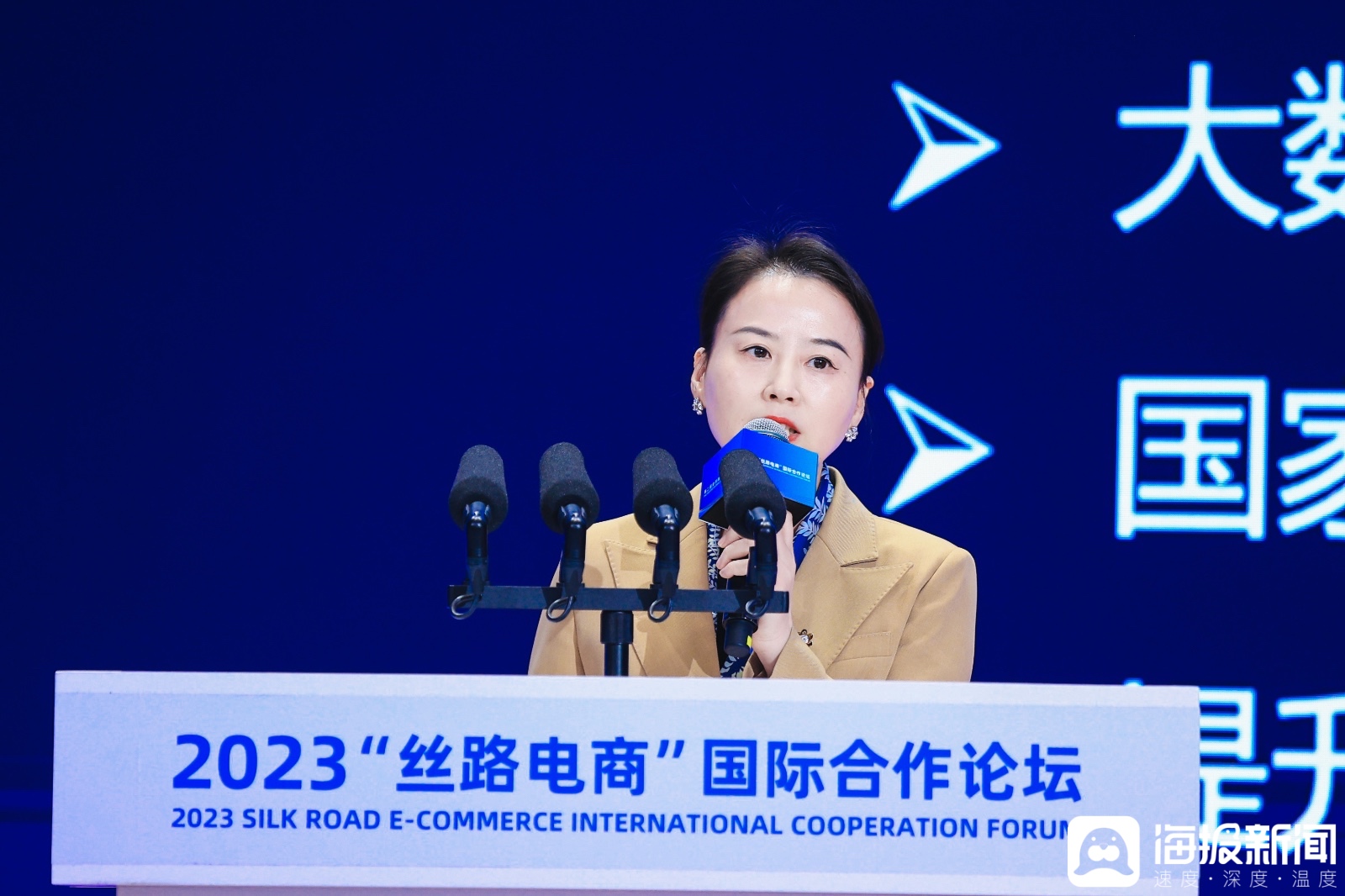 盒马联合创始人、副总裁沈丽：线上线下融合是“一带一路”倡议下国际农产品合作的高质量发展模式(图1)