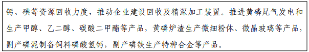 八部门：到2026年形成3家左右具有产业主导力、全球竞争力的一流磷化工企业(图9)