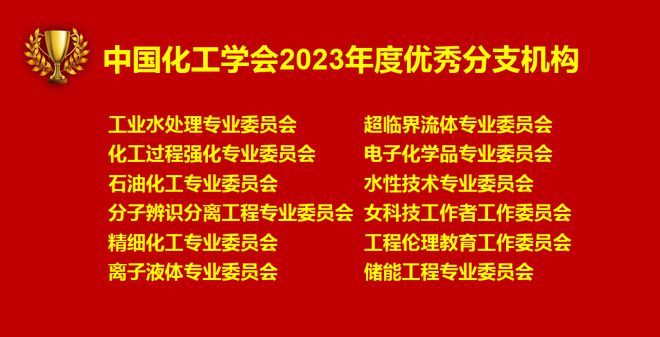 中国化工学会分支机构工作会议圆满召开(图4)