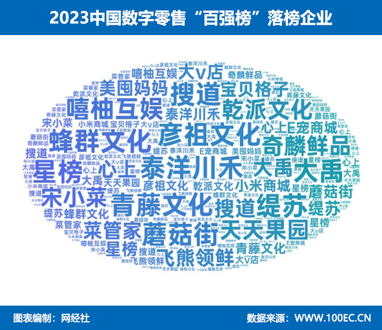 网经社：《2023年中国数字零售“百强榜”》发布(图3)