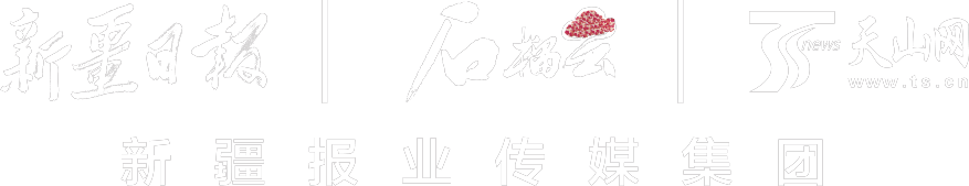 数说“新”变化丨交易额首破3000亿元！2023年新疆电商发展报告出炉(图2)