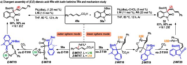 四川大学陈应春杜玮团队JACS：Pd(0)-π-Lewis碱催化——概念与发展(图6)