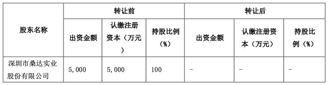 147 亿转让中电数创：中国电子云“扛旗”深桑达数据创新业务(图2)