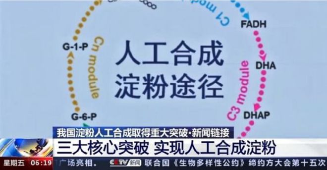 即将量产！中国再创世界第一以后粮食不从土里长靠化工合成？(图10)